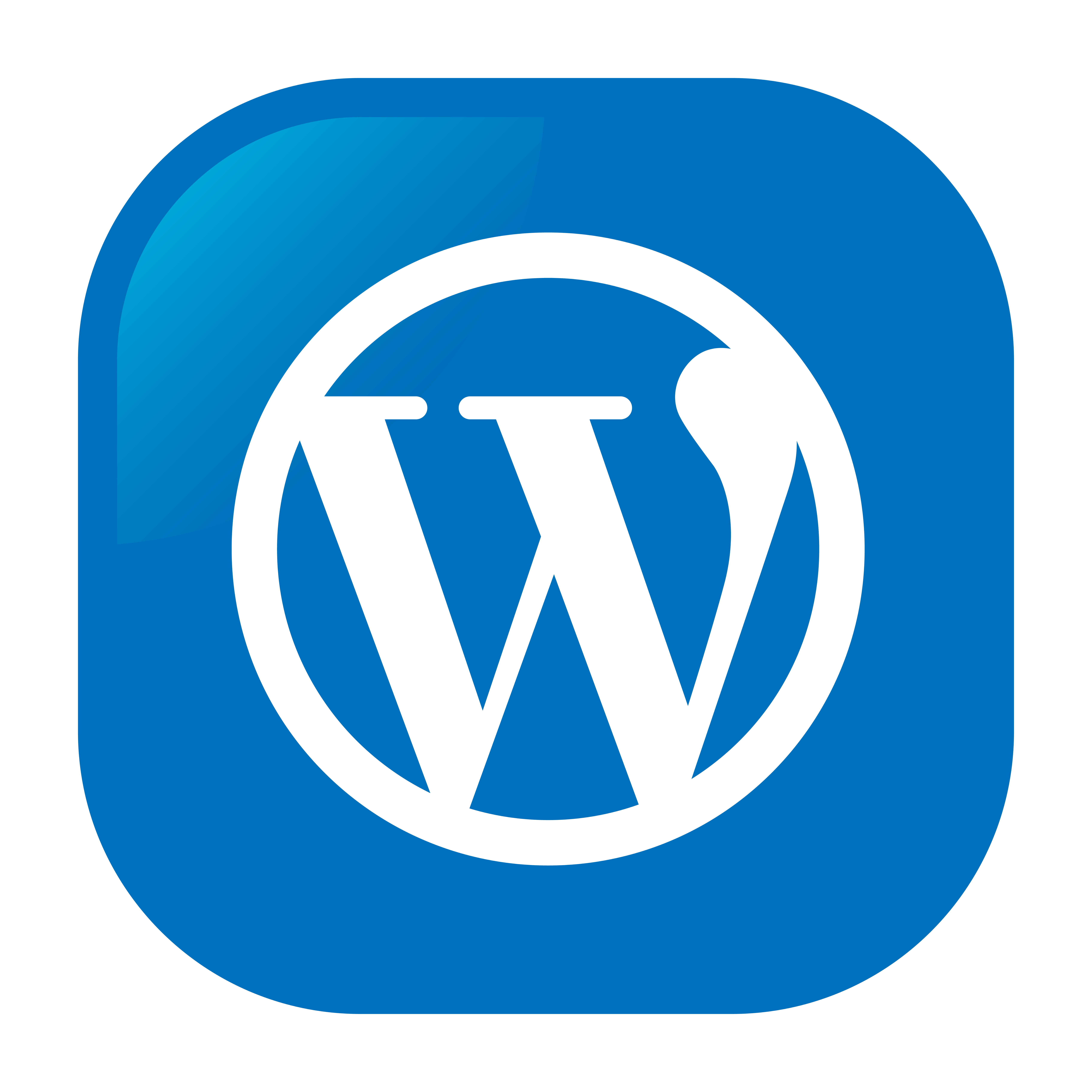 WordPress